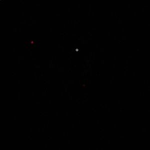 Meet your Posher, Larry